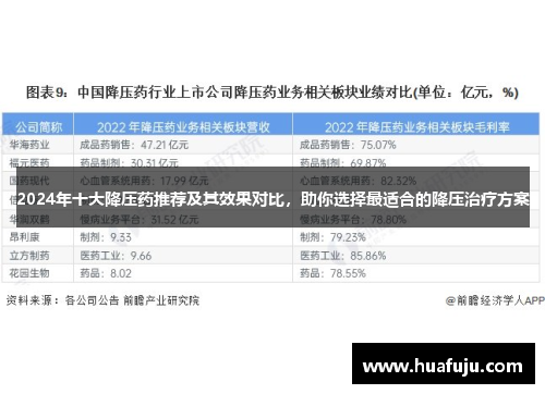 2024年十大降压药推荐及其效果对比，助你选择最适合的降压治疗方案