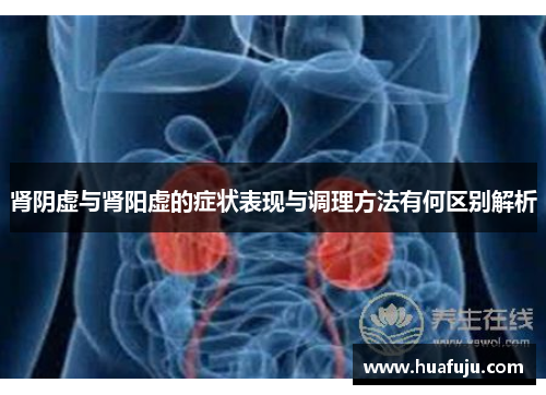 肾阴虚与肾阳虚的症状表现与调理方法有何区别解析