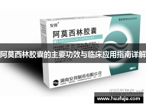 阿莫西林胶囊的主要功效与临床应用指南详解